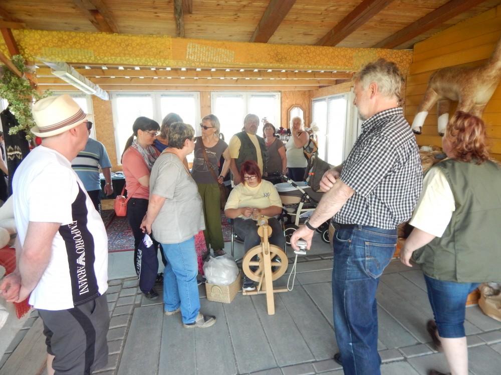 RückblickAlpakaHoffest 2016 von der WinklerRanch